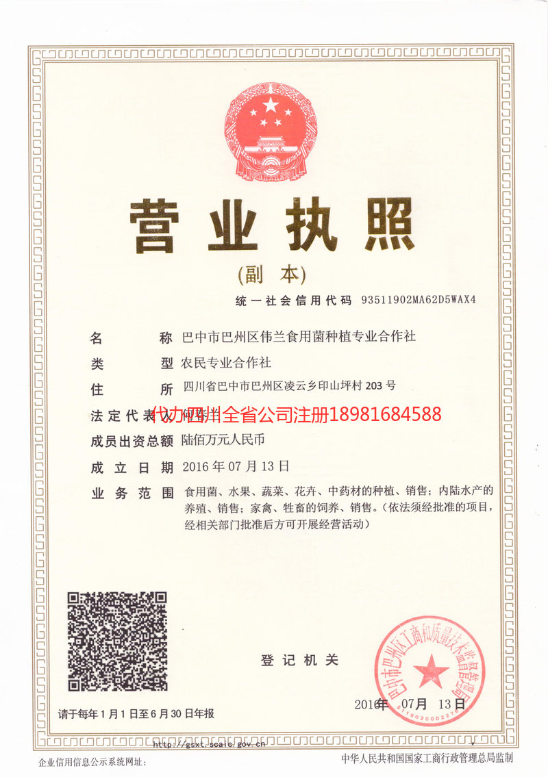 任丘任丘伟兰食用菌种植专业合作社